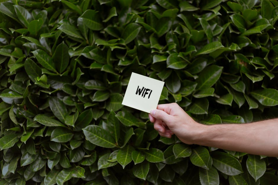 Asmuo telefone tikrina Wi–Fi signalo stiprumą namuose