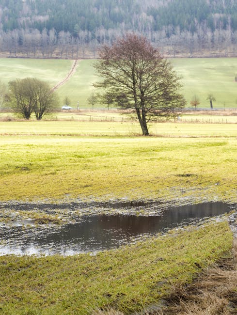 Sutvarkykime kiemo „logistiką“: kaip pasirinkti takelius, drenažą ir lietaus vandens sprendimus